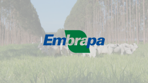 concurso embrapa